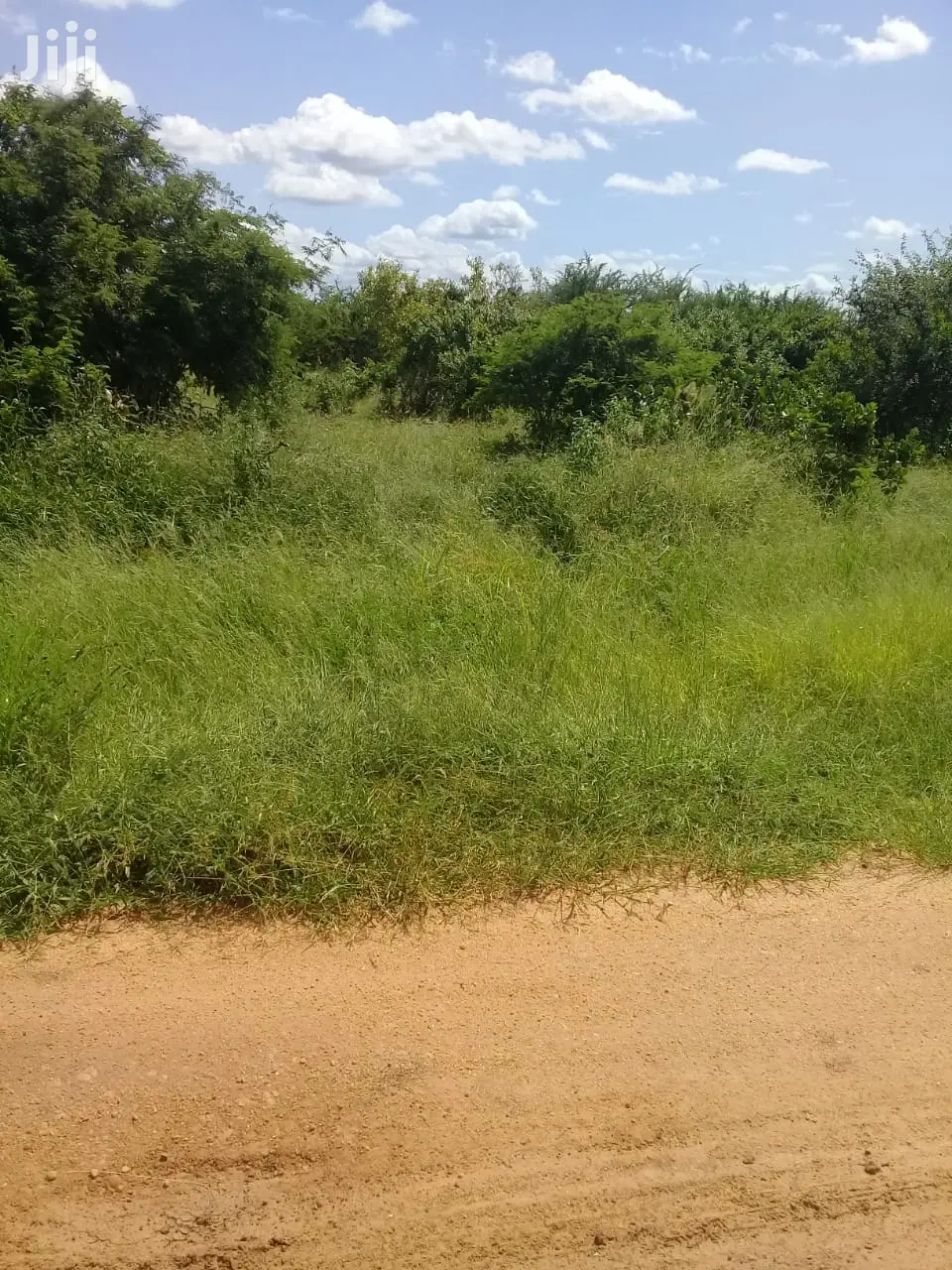 Kilifi County Malindi 20 Acres for Sale