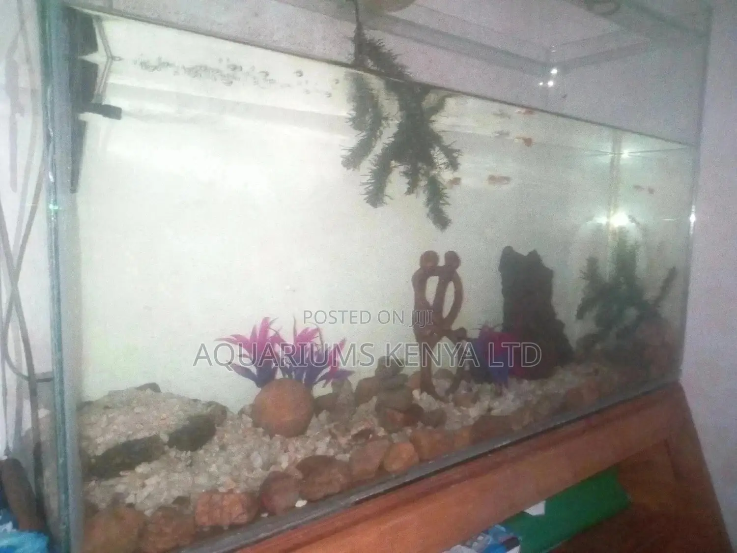 Custom Made Aquariums