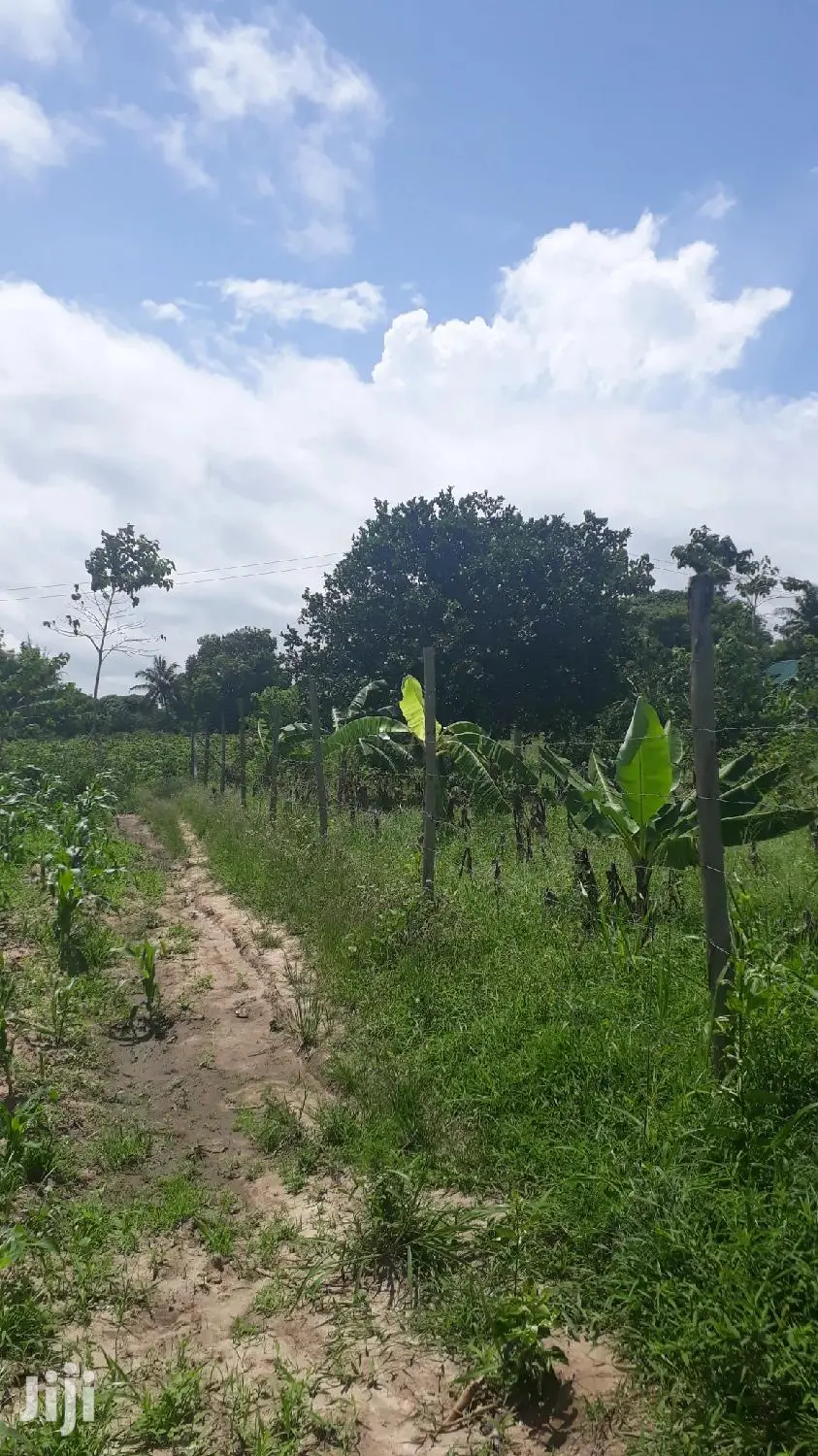 For Sale Quater Acres Plots Mtepeni Mtwapa