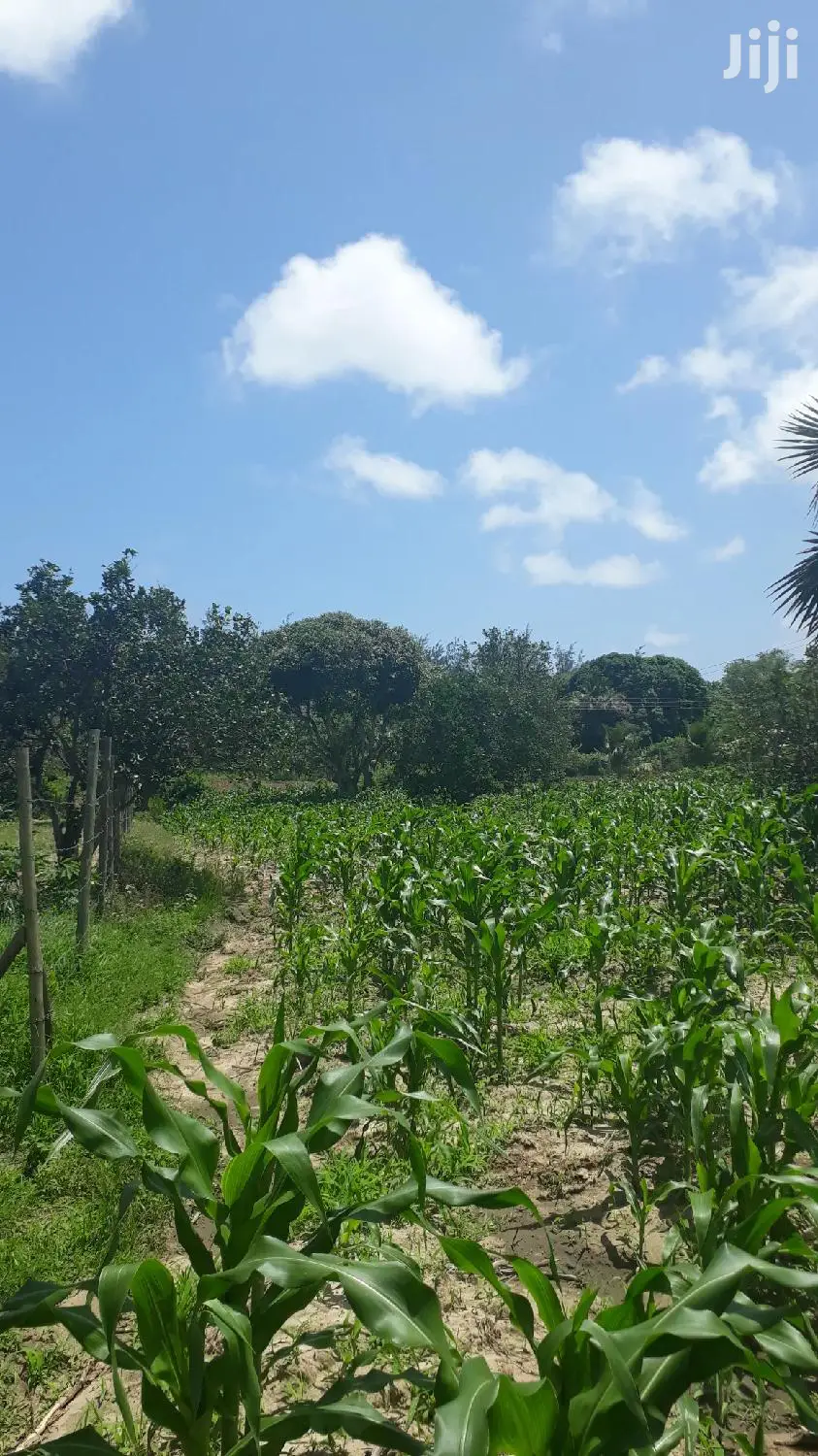 For Sale Quater Acres Plots Mtepeni Mtwapa