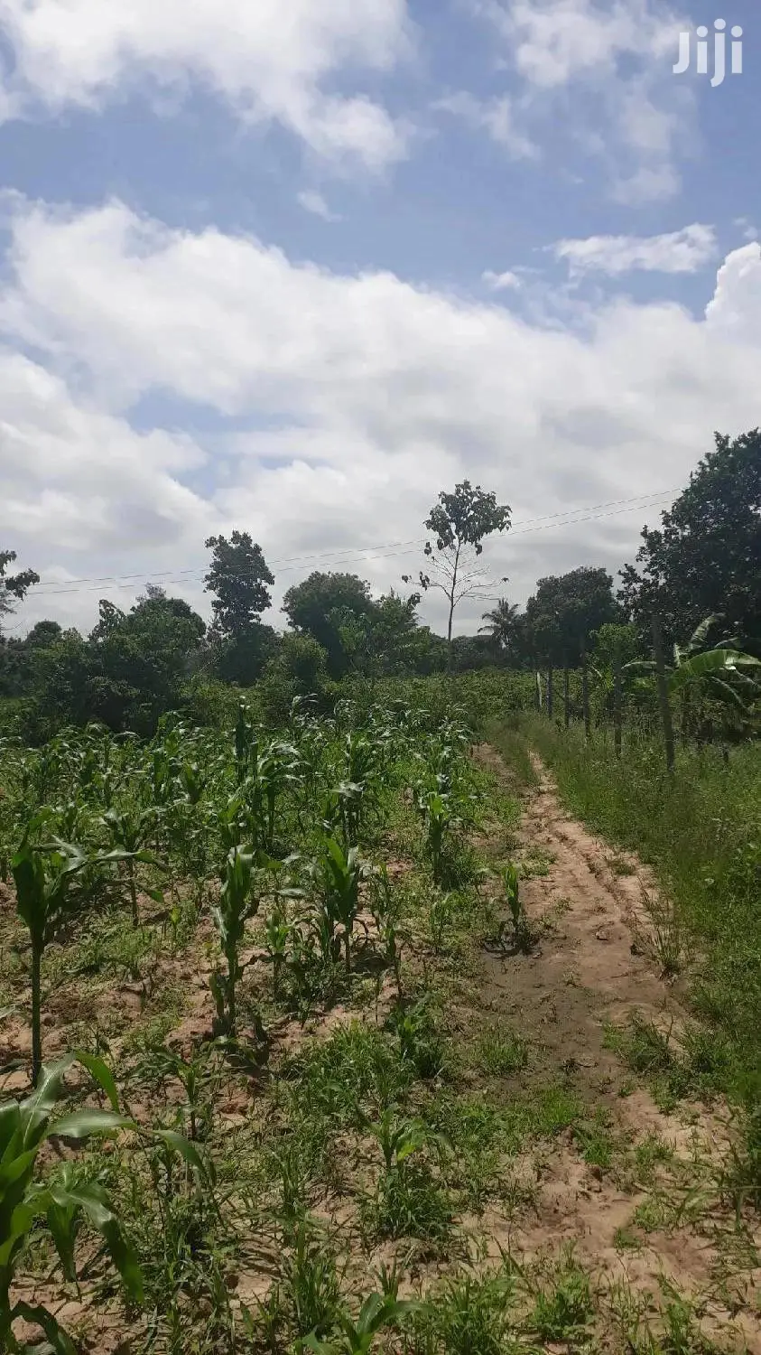 For Sale Quater Acres Plots Mtepeni Mtwapa