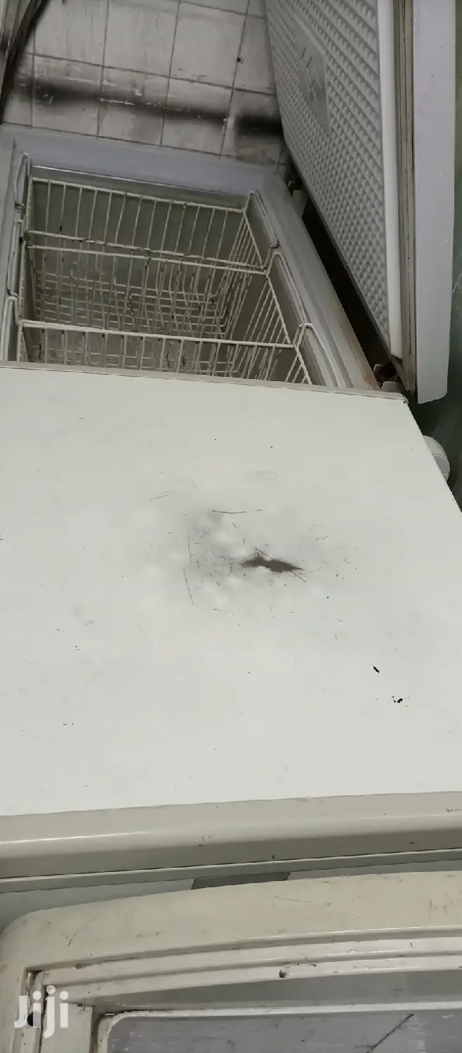 600L Freezer