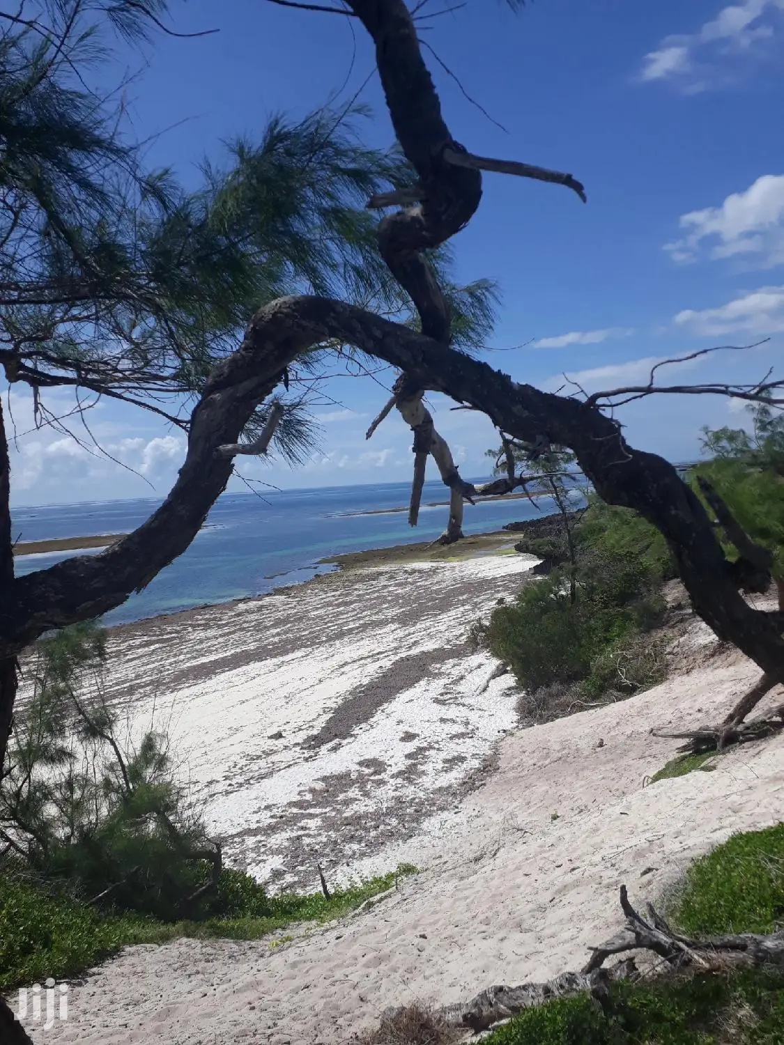 For Sale 4 and a Half Beach Land Malindi