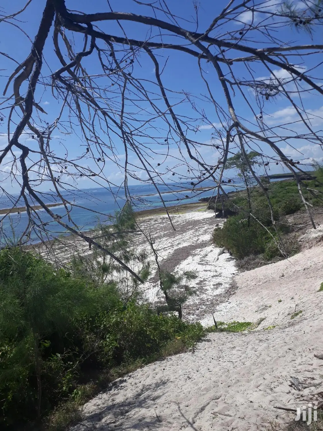 For Sale 4 and a Half Beach Land Malindi