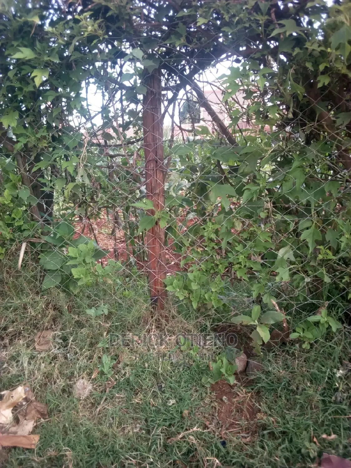 Land for Sale Along Nyakinywa Road Riruta