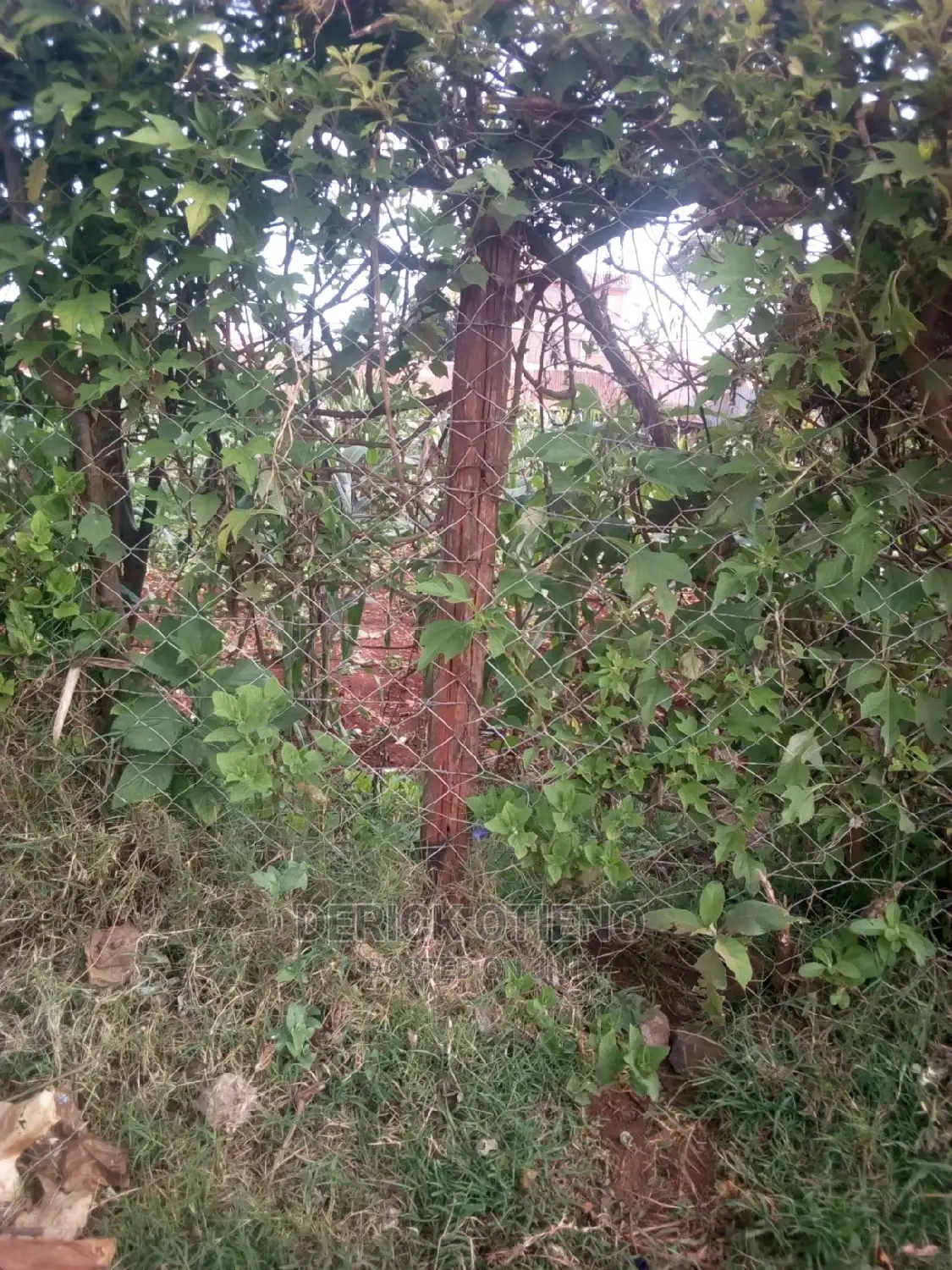 Land for Sale Along Nyakinywa Road Riruta