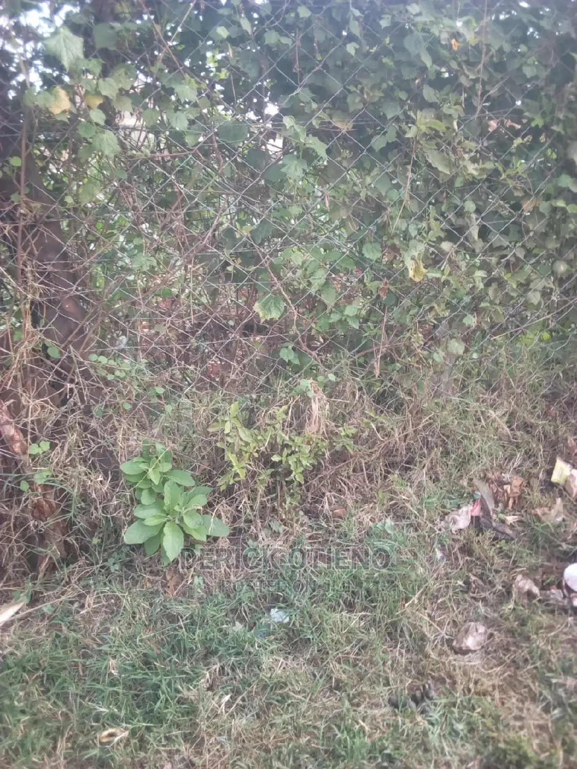 Land for Sale Along Nyakinywa Road Riruta