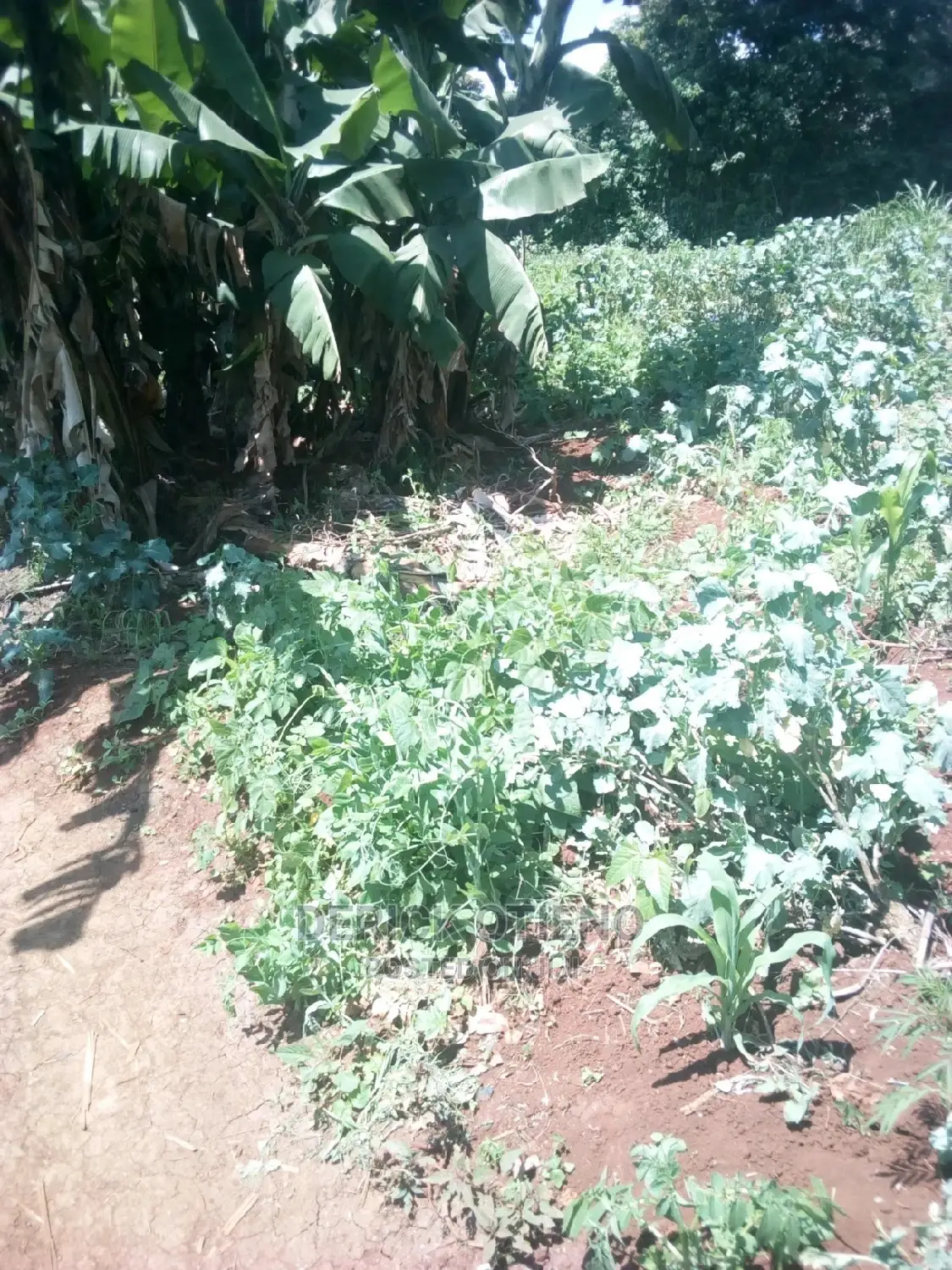 Land for Sale Along Kabiria Kahuho Road