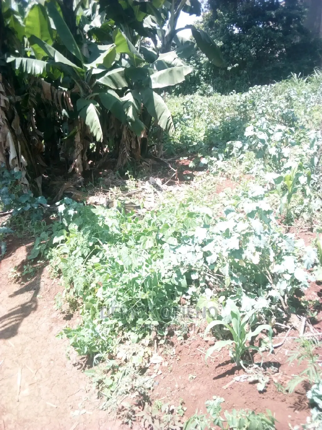 Land for Sale Along Kabiria Kahuho Road