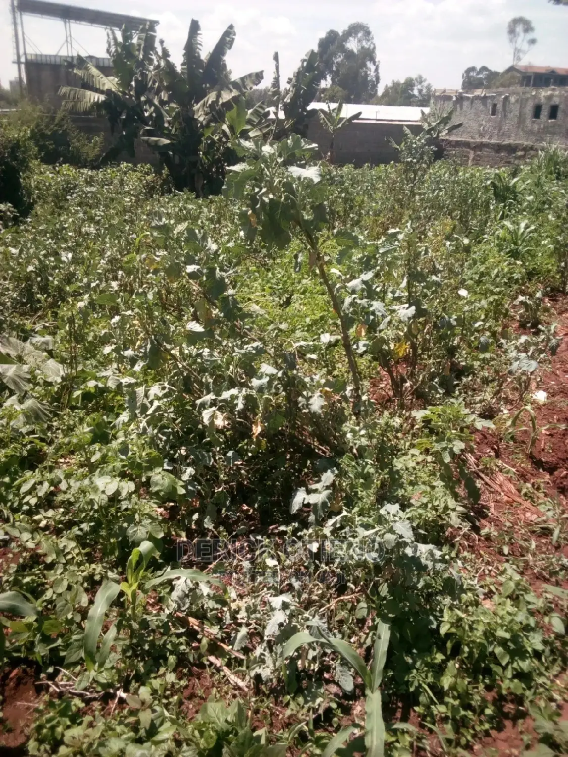 Land for Sale Along Kabiria Kahuho Road