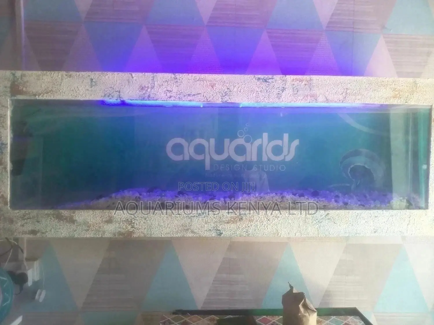 All Your Aquarium Needs, Wall Mounted Aquarium