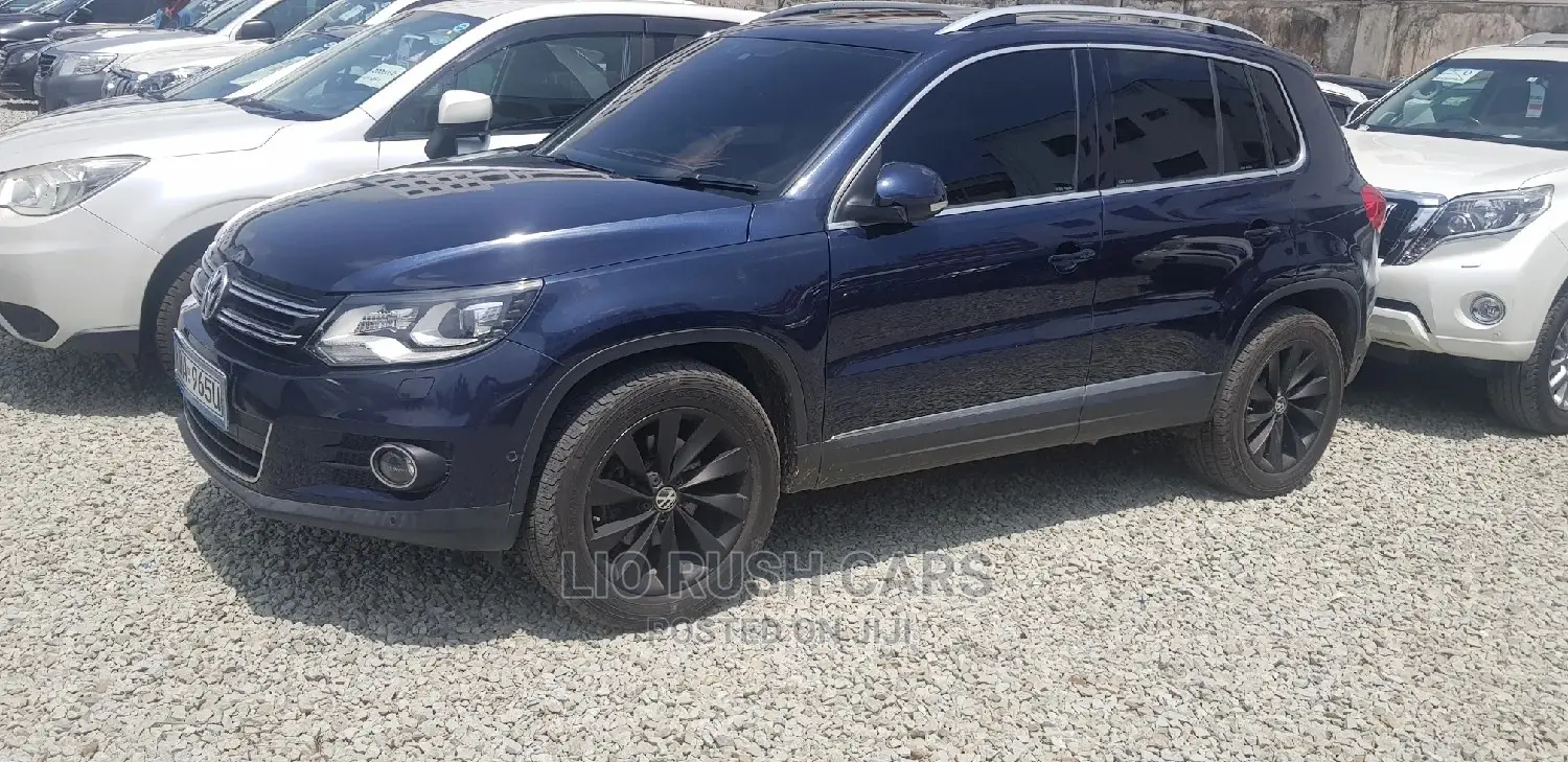 Volkswagen Tiguan 2013 Blue
