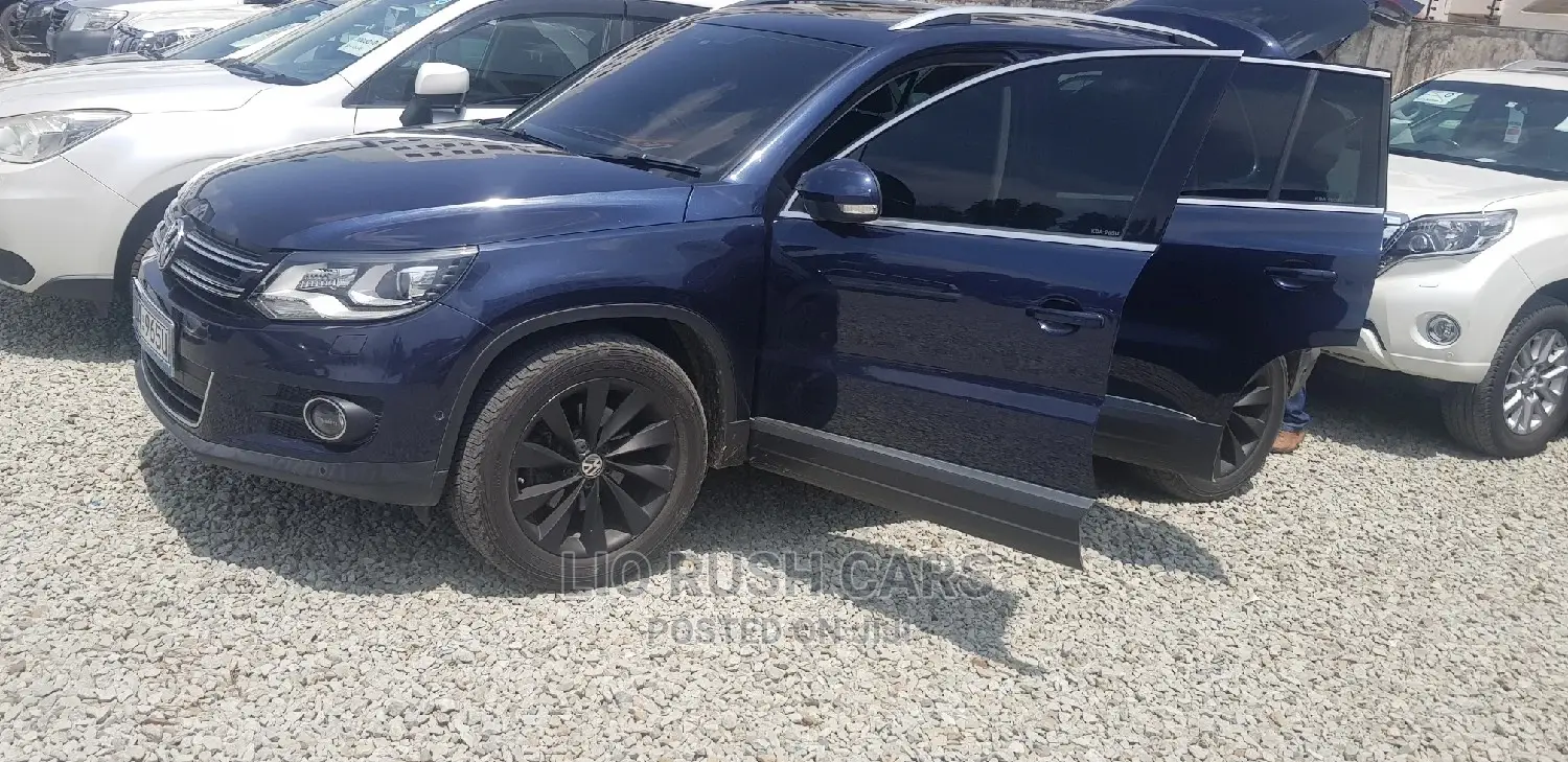 Volkswagen Tiguan 2013 Blue