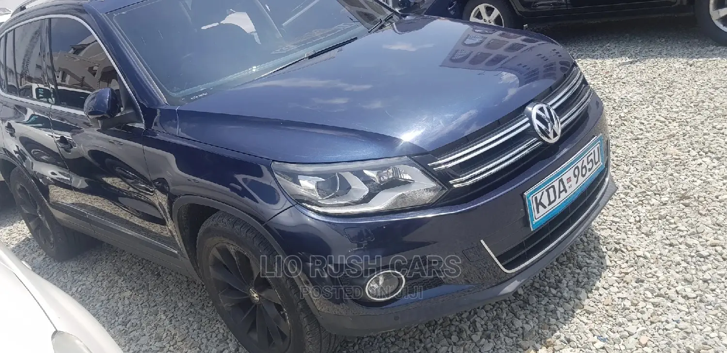 Volkswagen Tiguan 2013 Blue