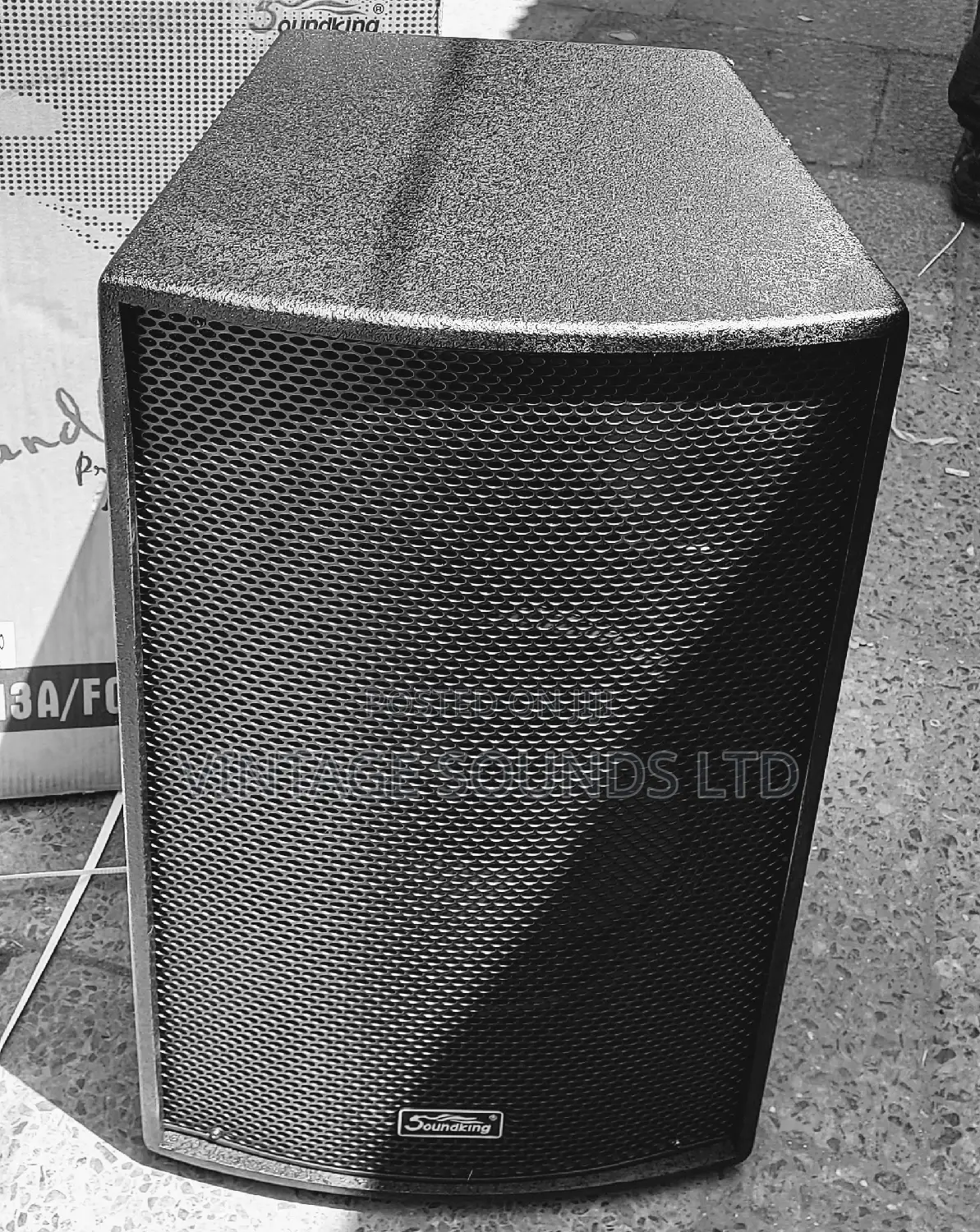Soundking Midrange/Midbass Speaker