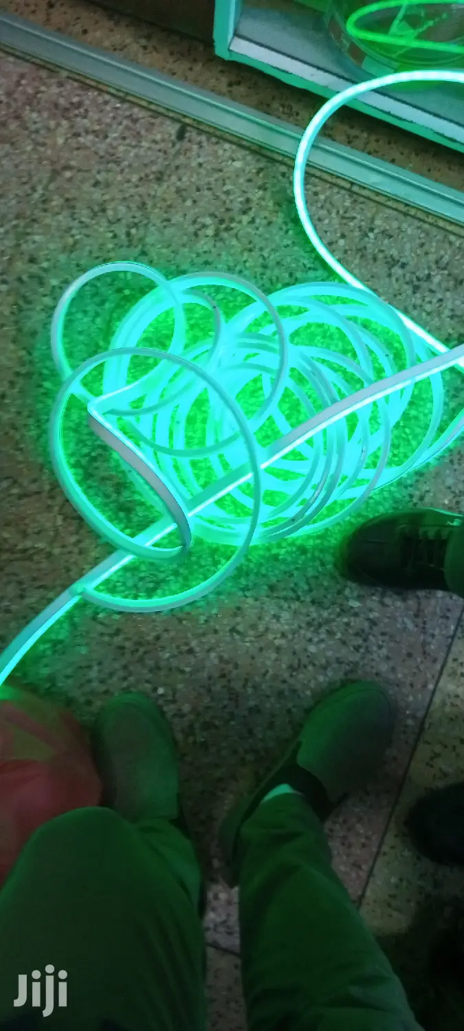 Neon Snakelight