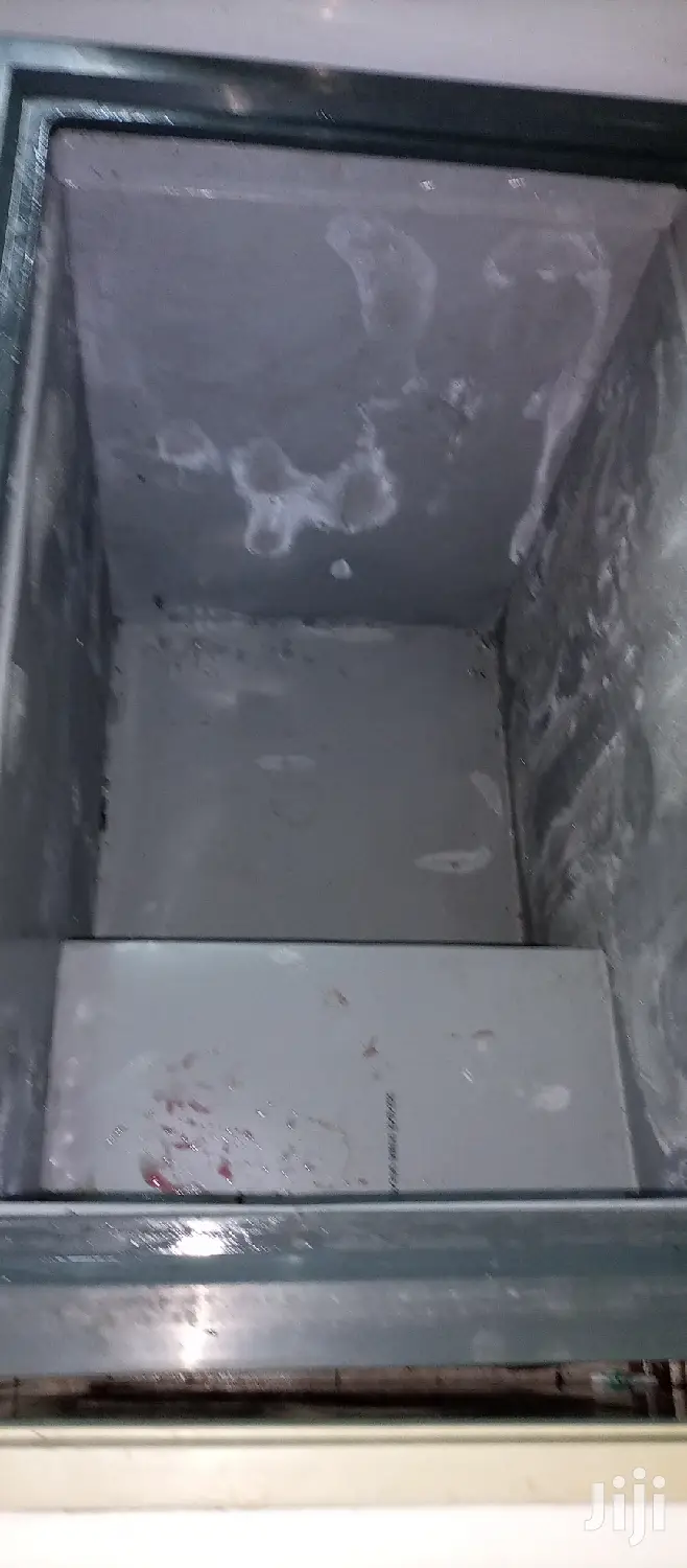 Freezer 300L