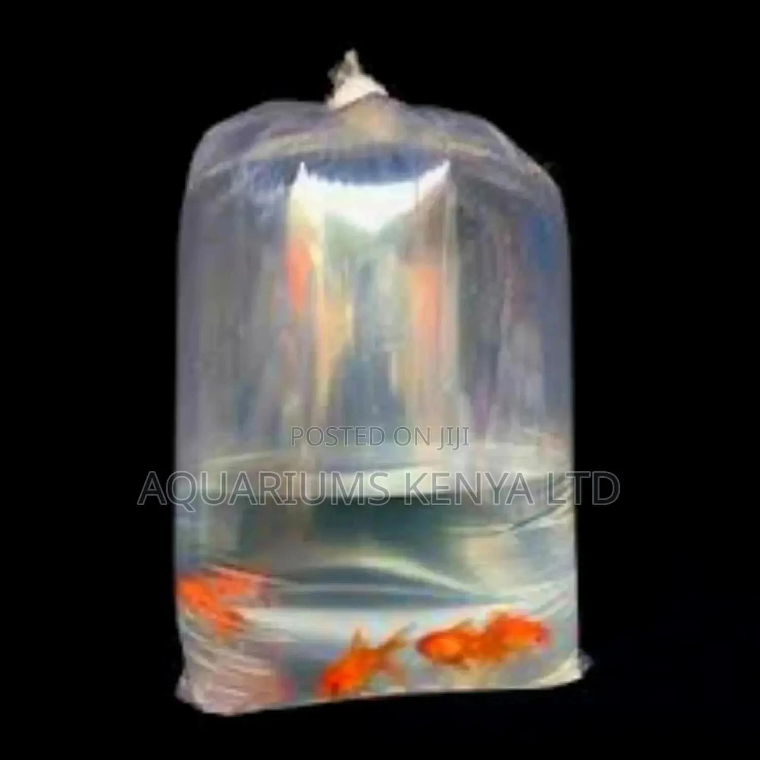 Fish Delivery Services