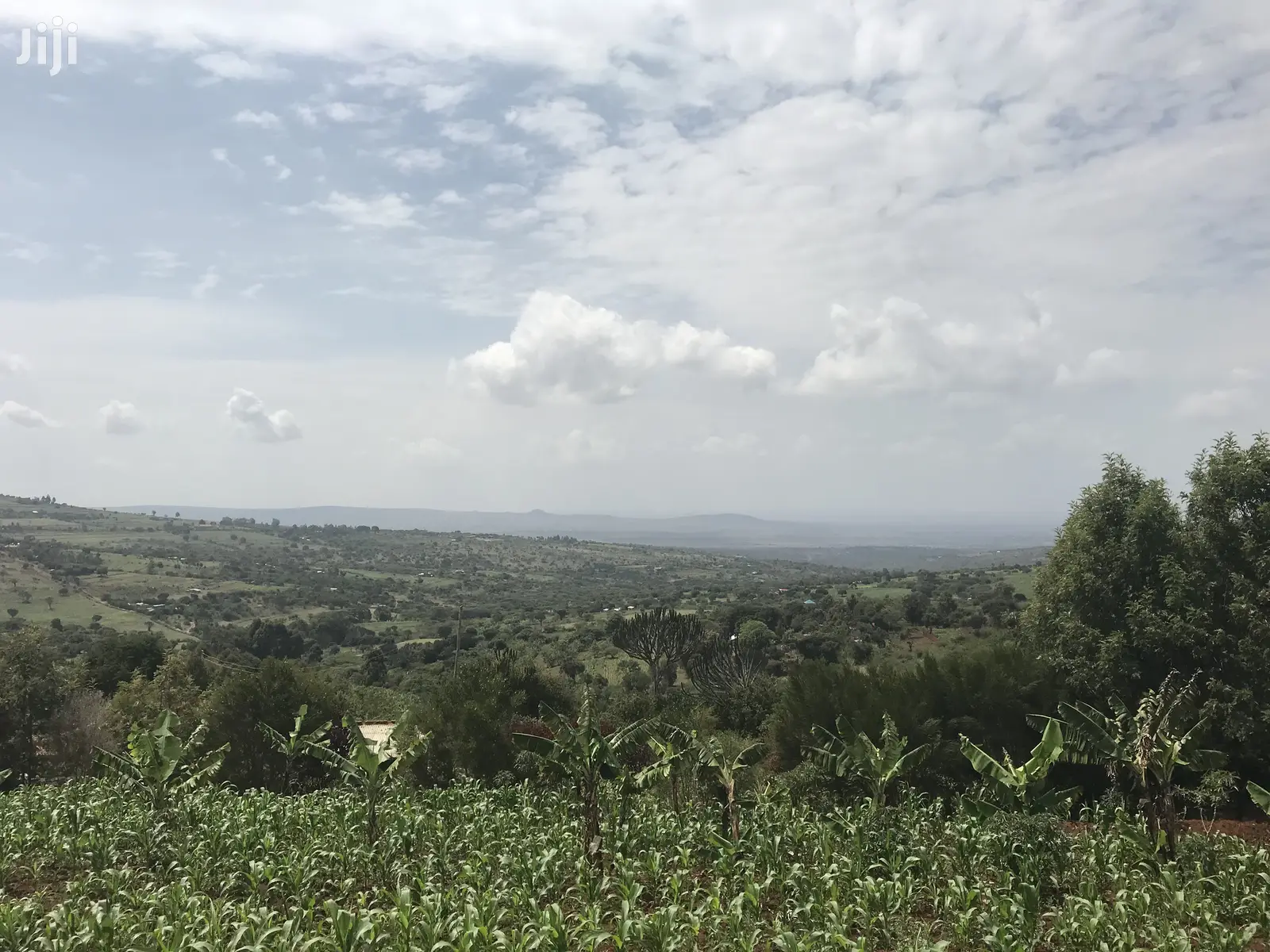 1acre Mua Hills