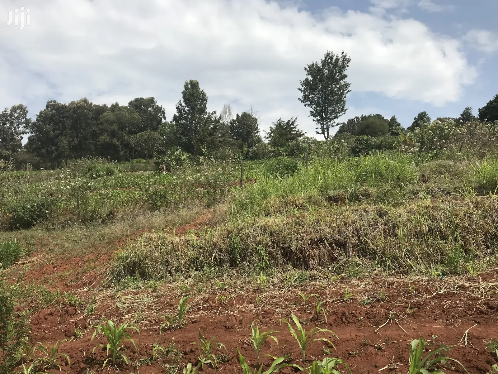 1acre Mua Hills