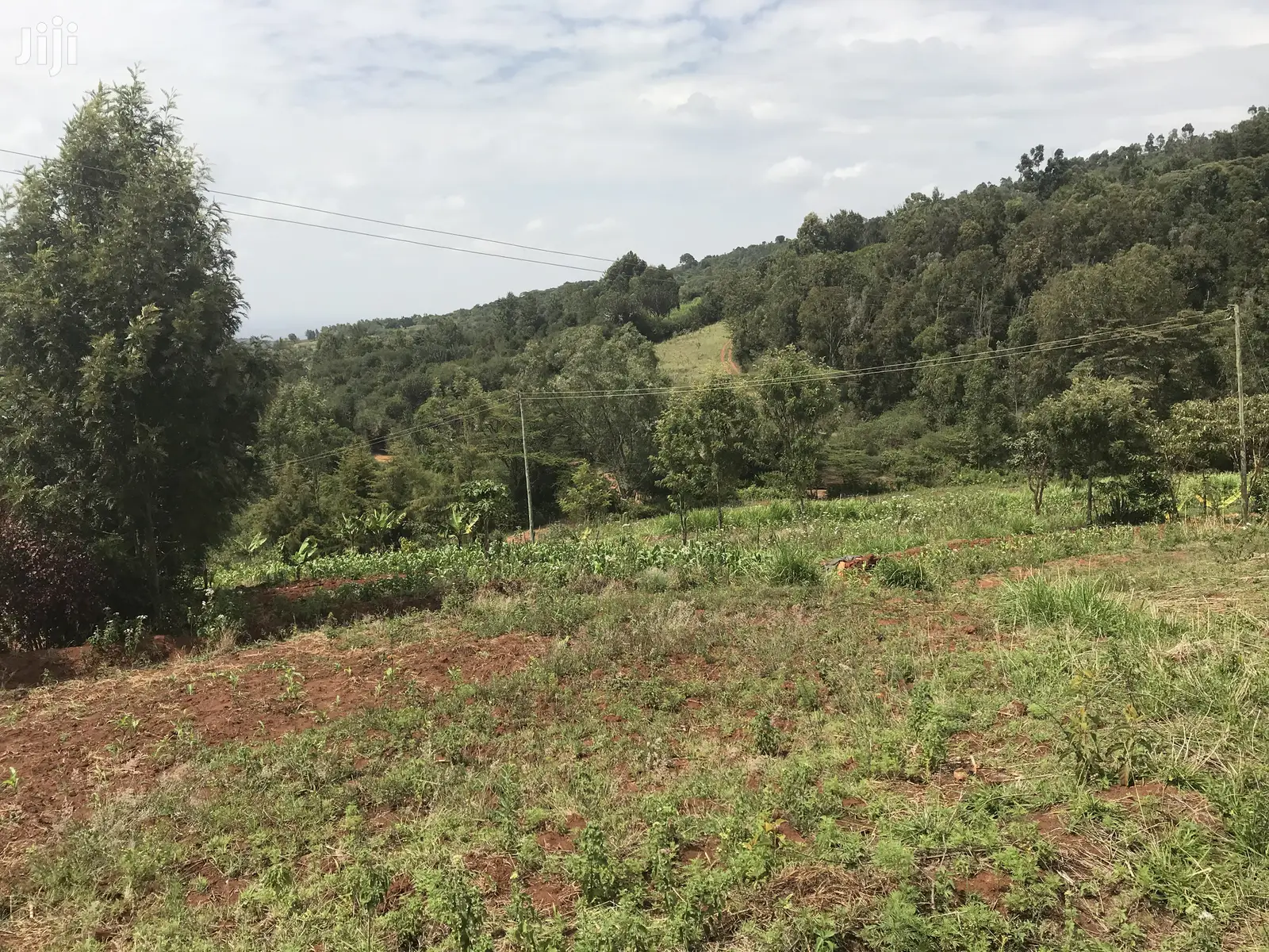 1acre Mua Hills