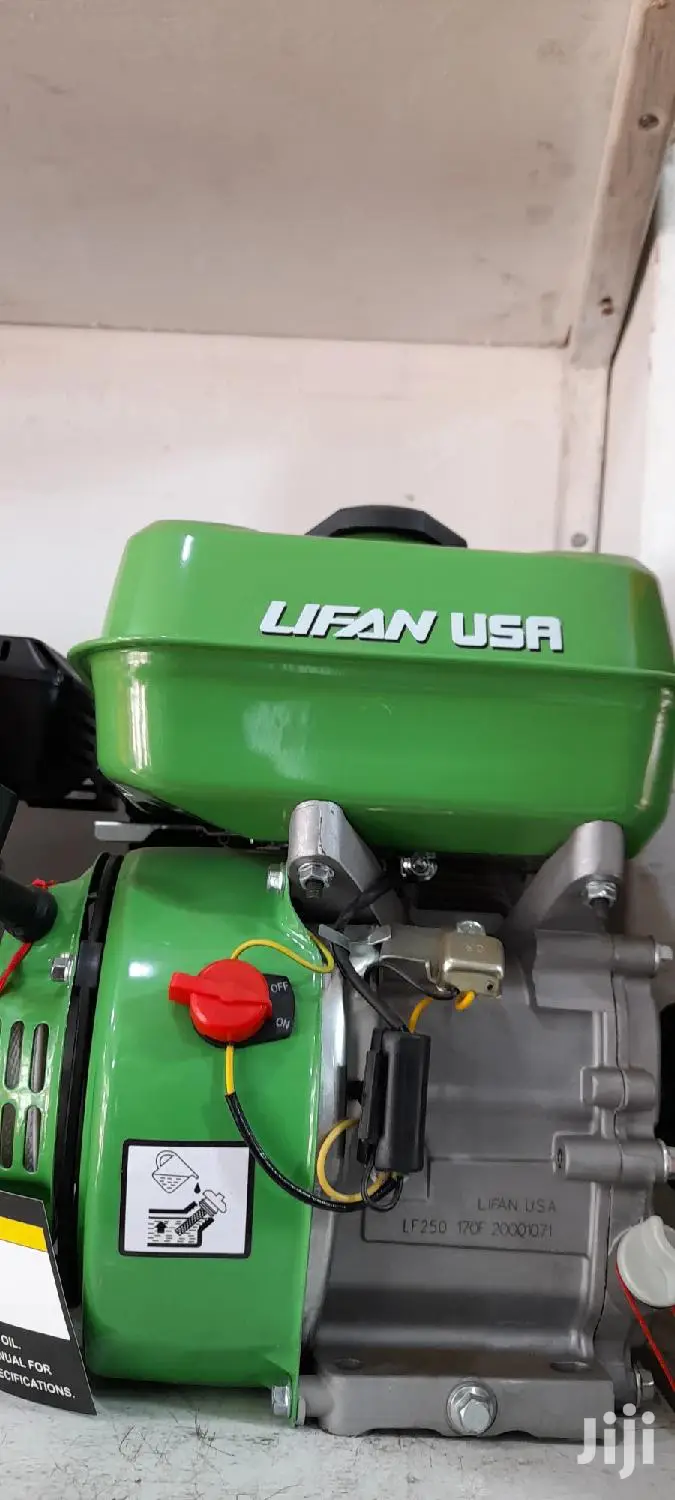 Lifan Usa Petrol Engine Machine 5hp