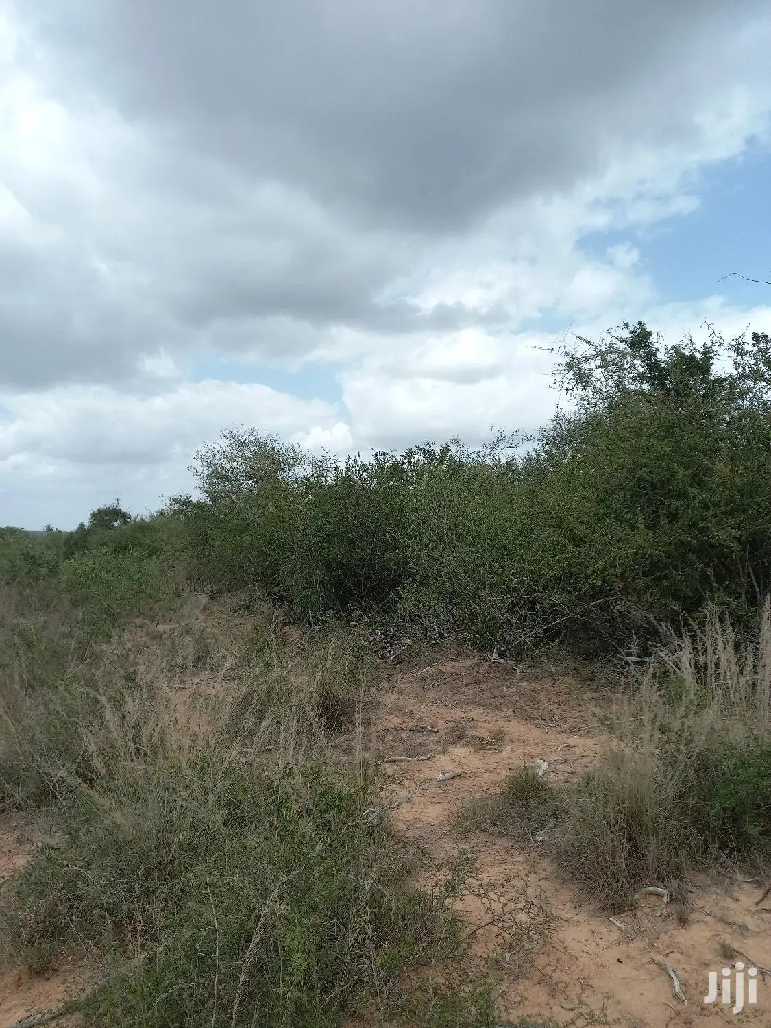 For Sale 170 Acres Agricultural Land Magarini