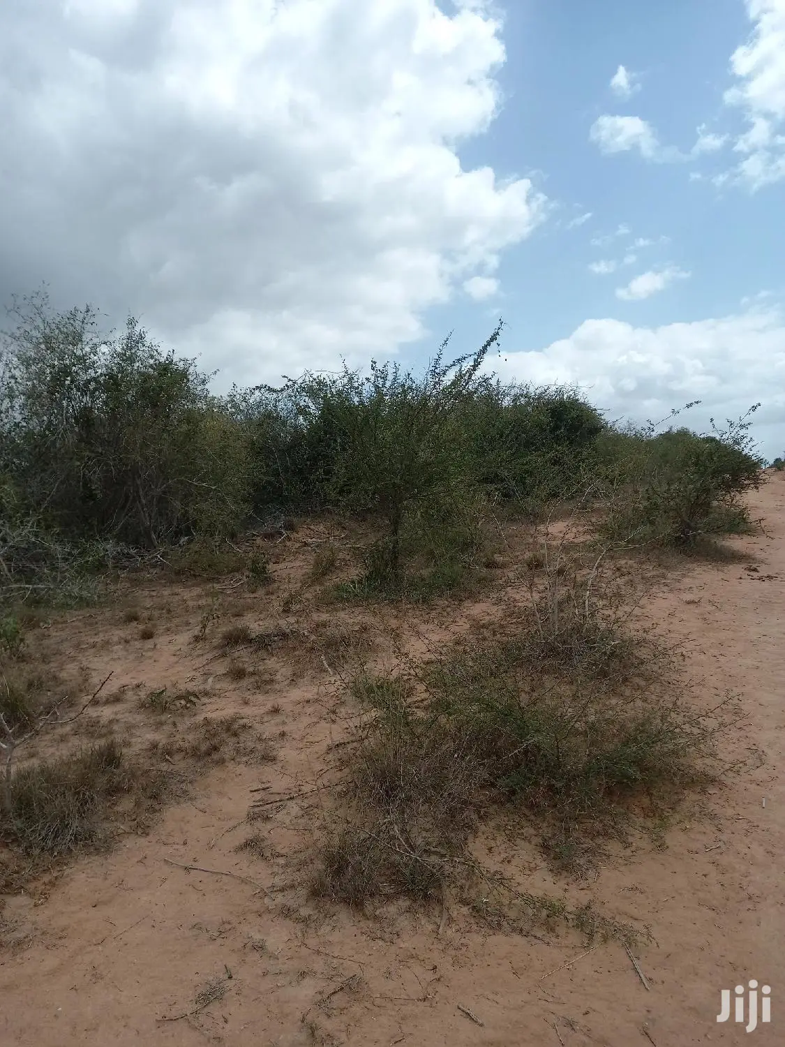 For Sale 170 Acres Agricultural Land Magarini