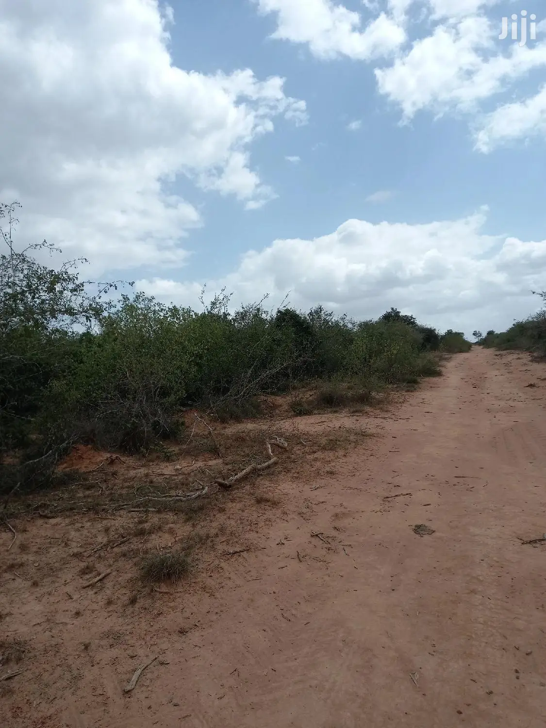 For Sale 170 Acres Agricultural Land Magarini