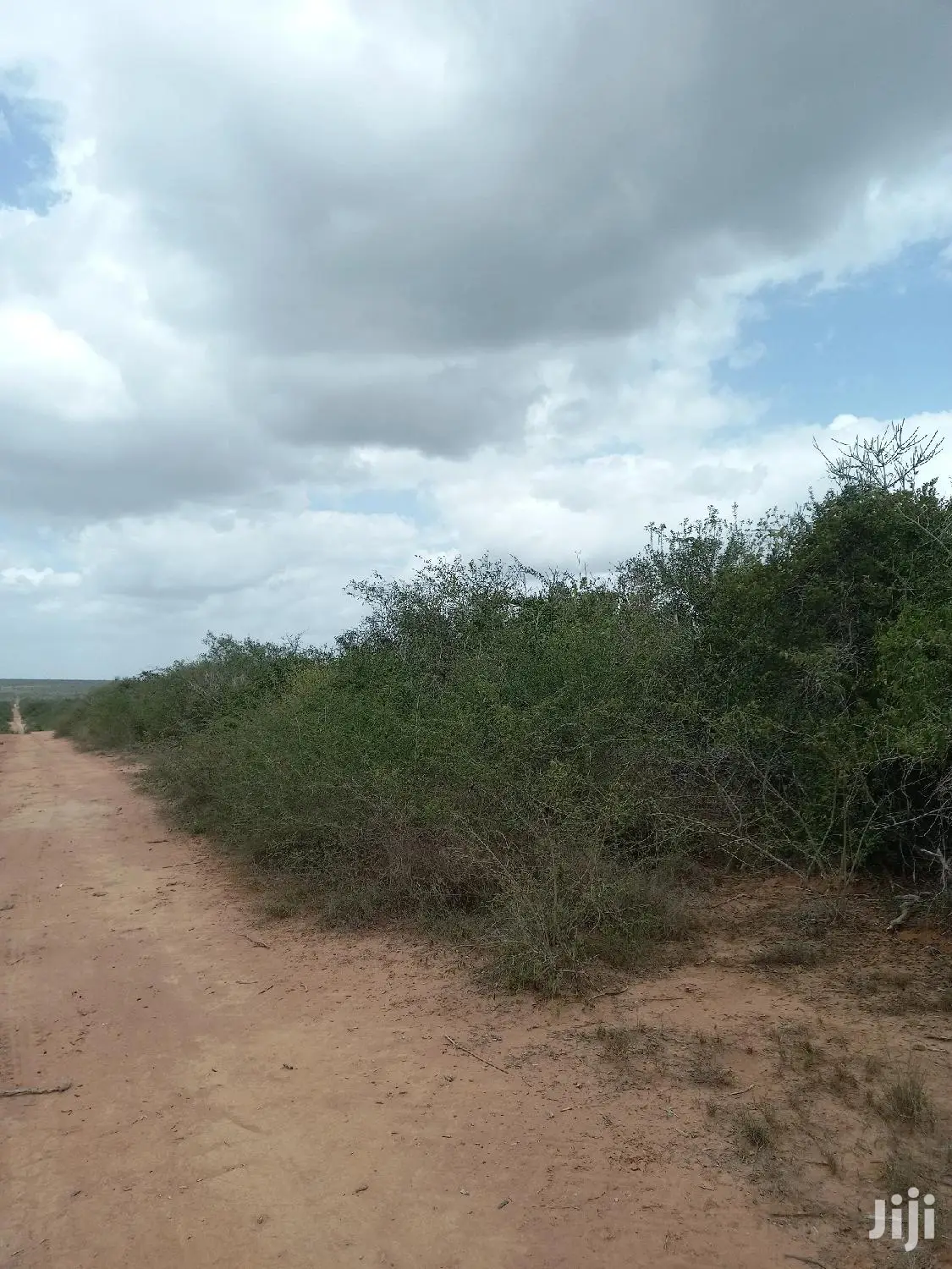 For Sale 170 Acres Agricultural Land Magarini