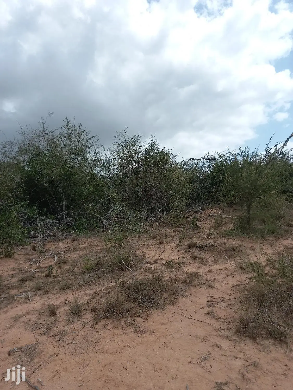 For Sale 170 Acres Agricultural Land Magarini