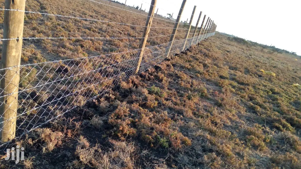 Long Treated Poles Kiawara, Isiolo, Nyahururu, Nanyuki