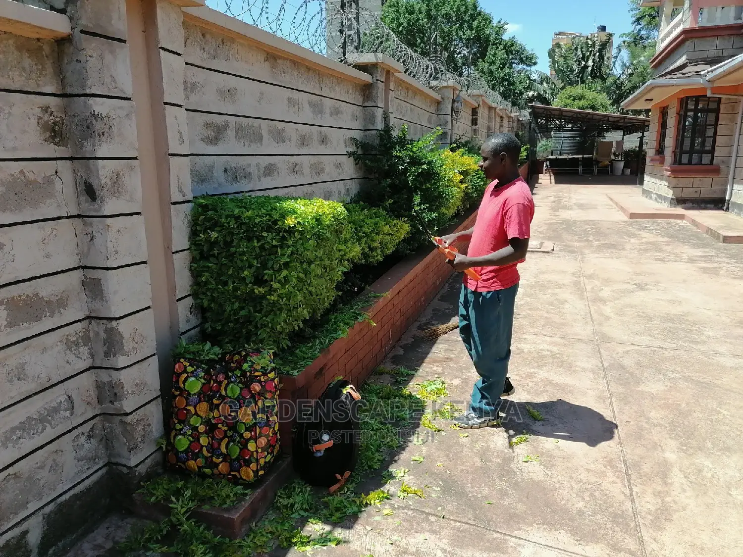 Fence Hedge Trimming