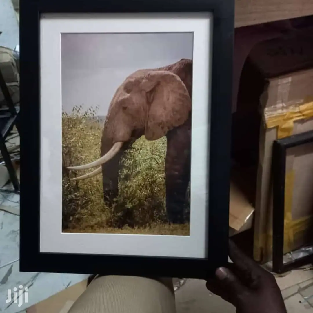 Elegant Photo Frames