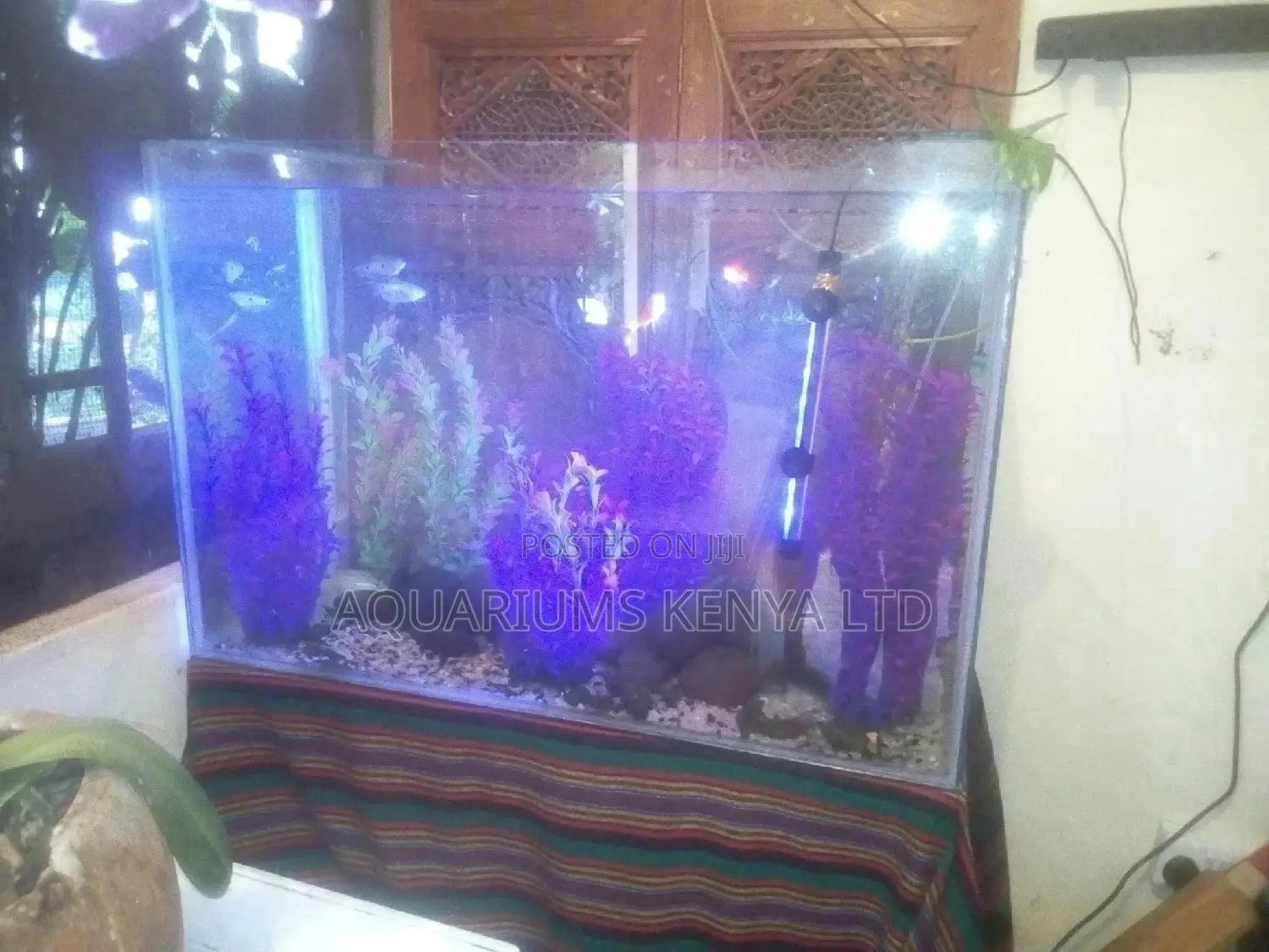 Custom Aquarium Tank for Sale