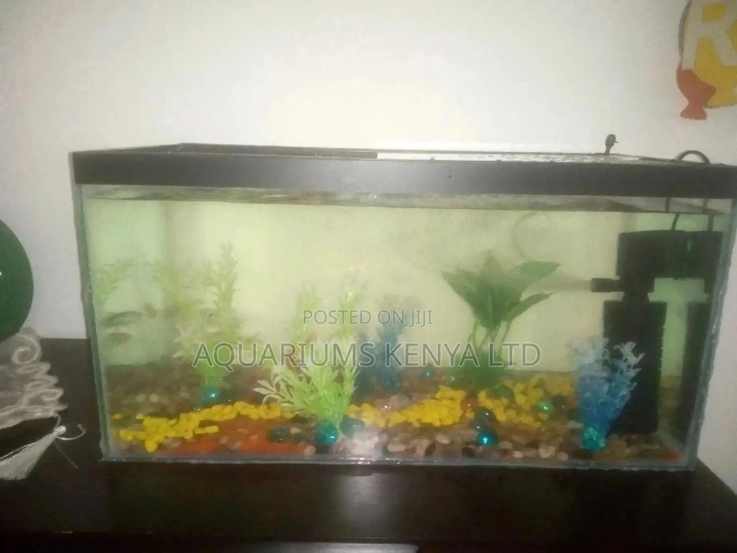 Aquarium Customized