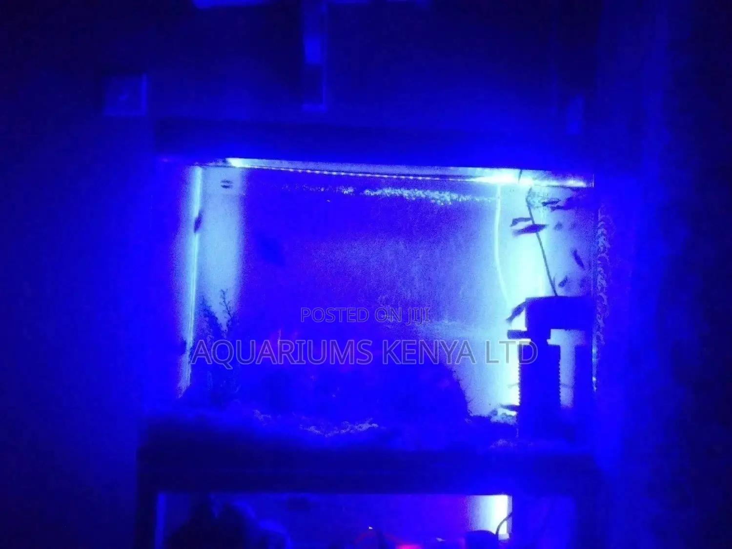 Aquarium Customized