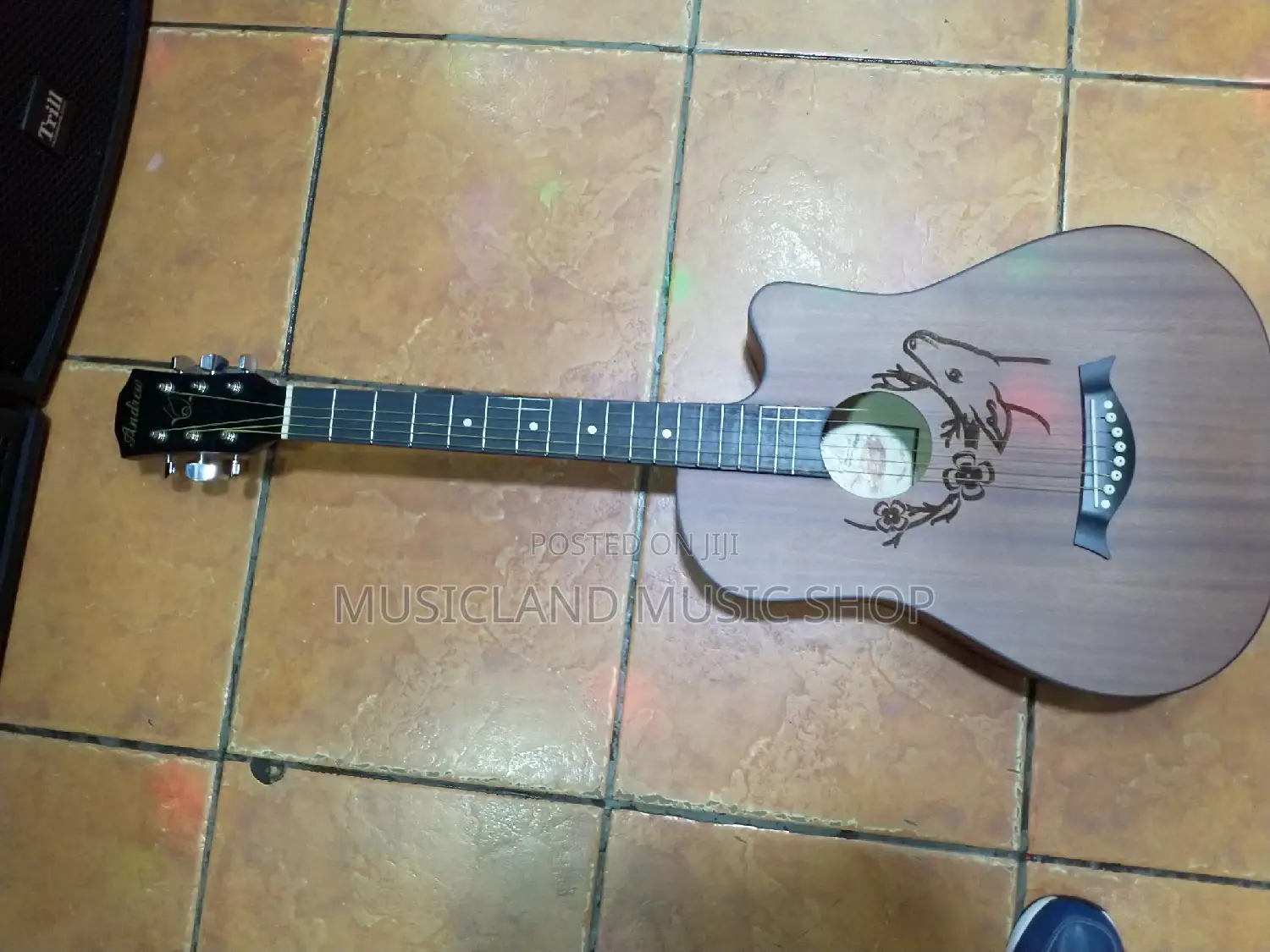 Acoustic Guitar With Engravement