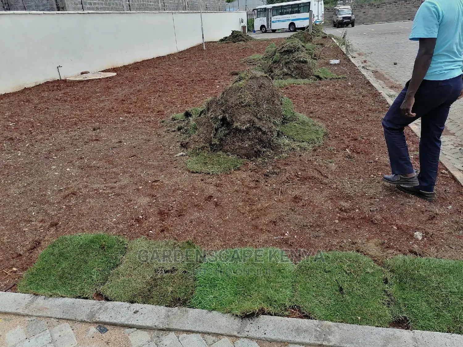 Carpet Grass(Kikuyu Grass) Per Piece