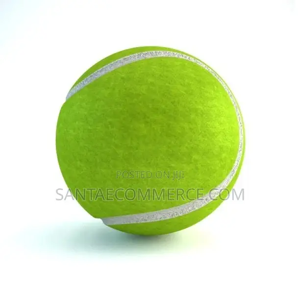 Adults, Pets, Kids Toy Training Tennis Ball