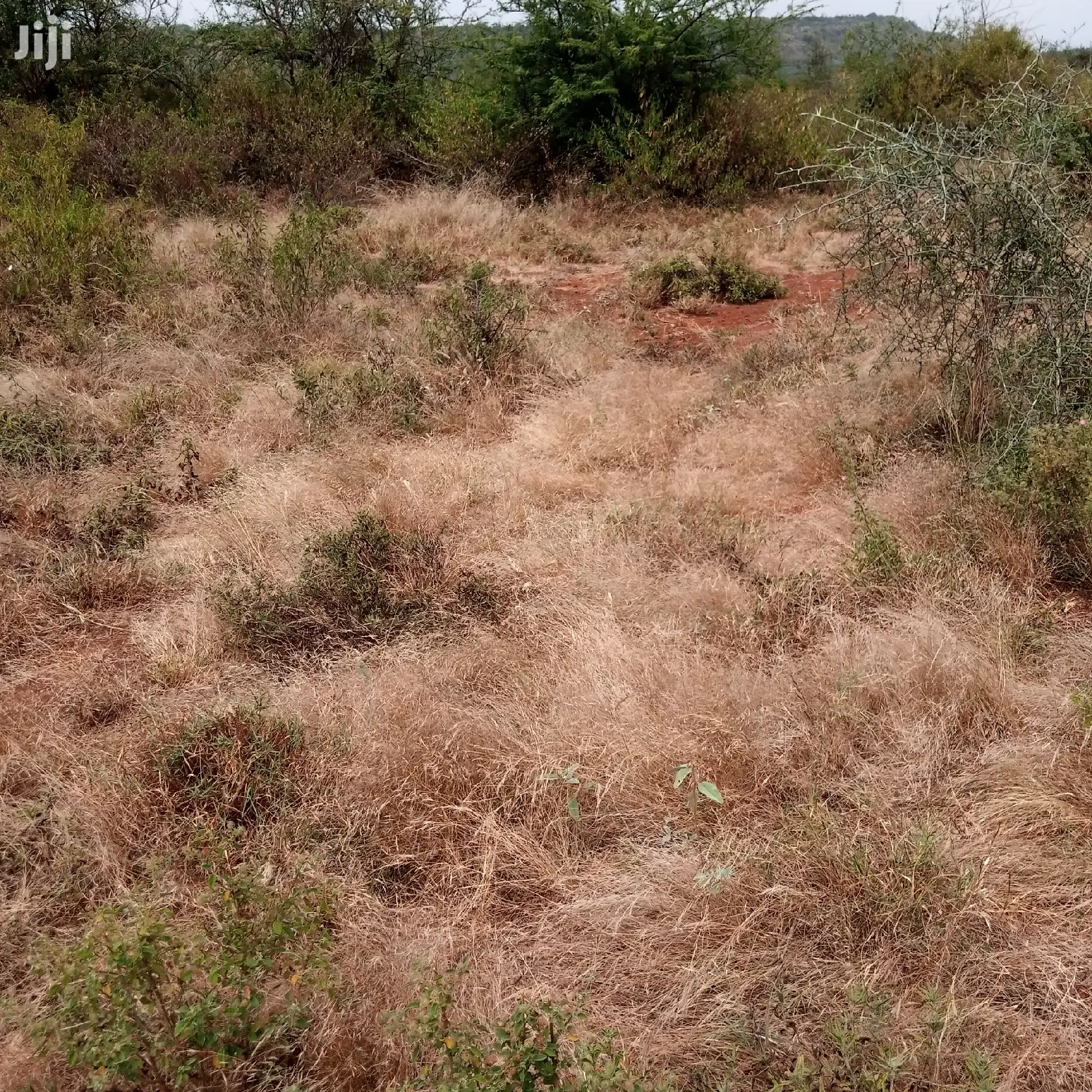 30 Acres Farming Land Lentoko