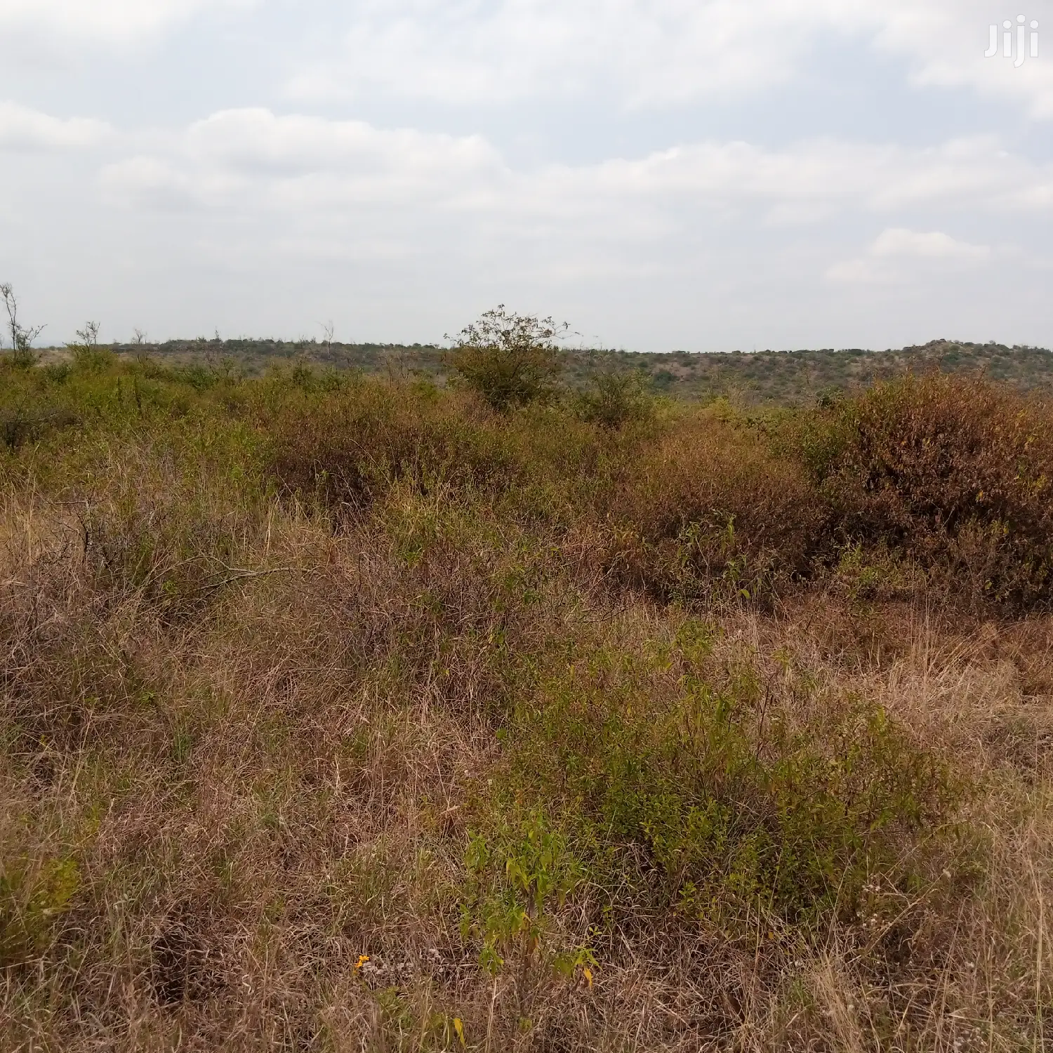 30 Acres Farming Land Lentoko