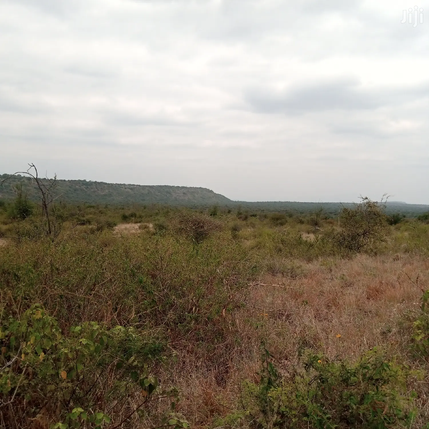 30 Acres Farming Land Lentoko