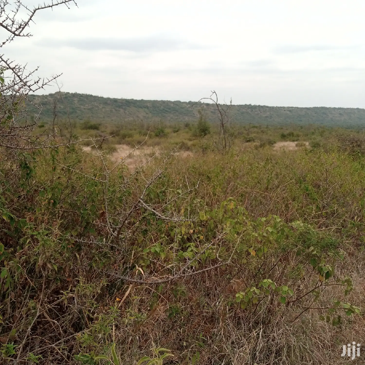 30 Acres Farming Land Lentoko