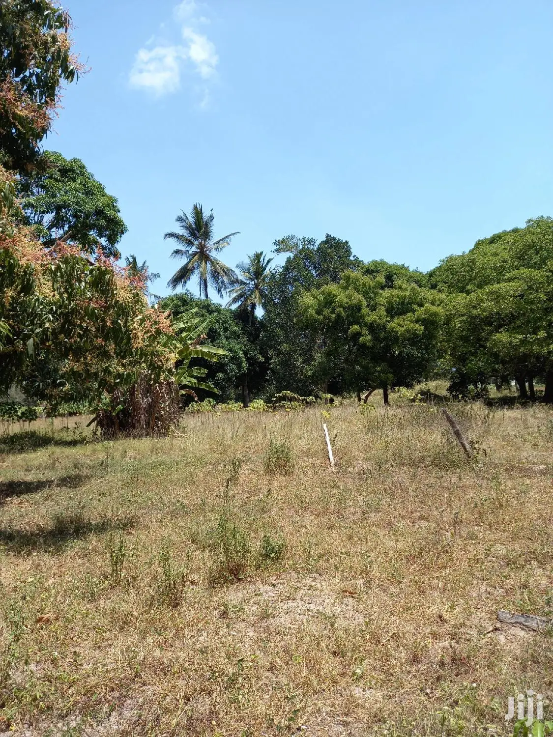 For Sale 5 Acre Agricultural Land Kikambala