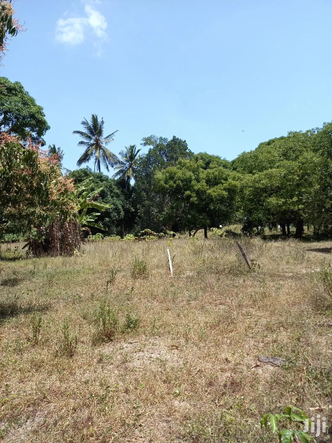 For Sale 5 Acre Agricultural Land Kikambala