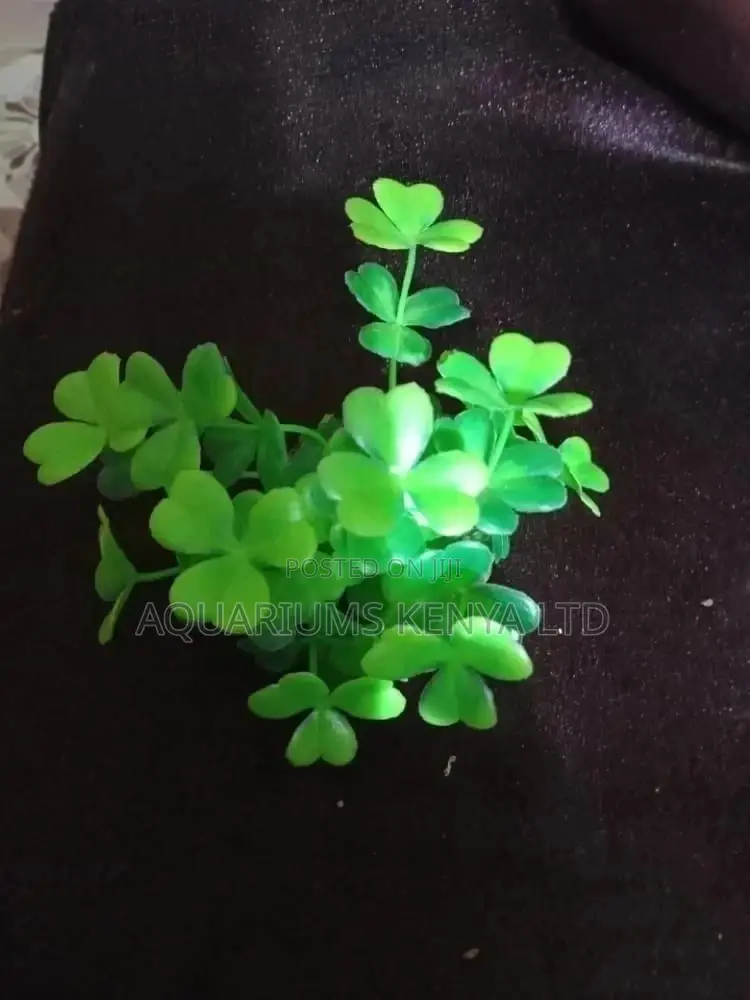 Aquarium Accessories Plants