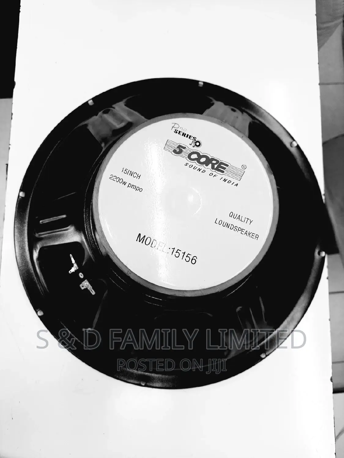 5 Core 15156 15 Inches Naked Speaker