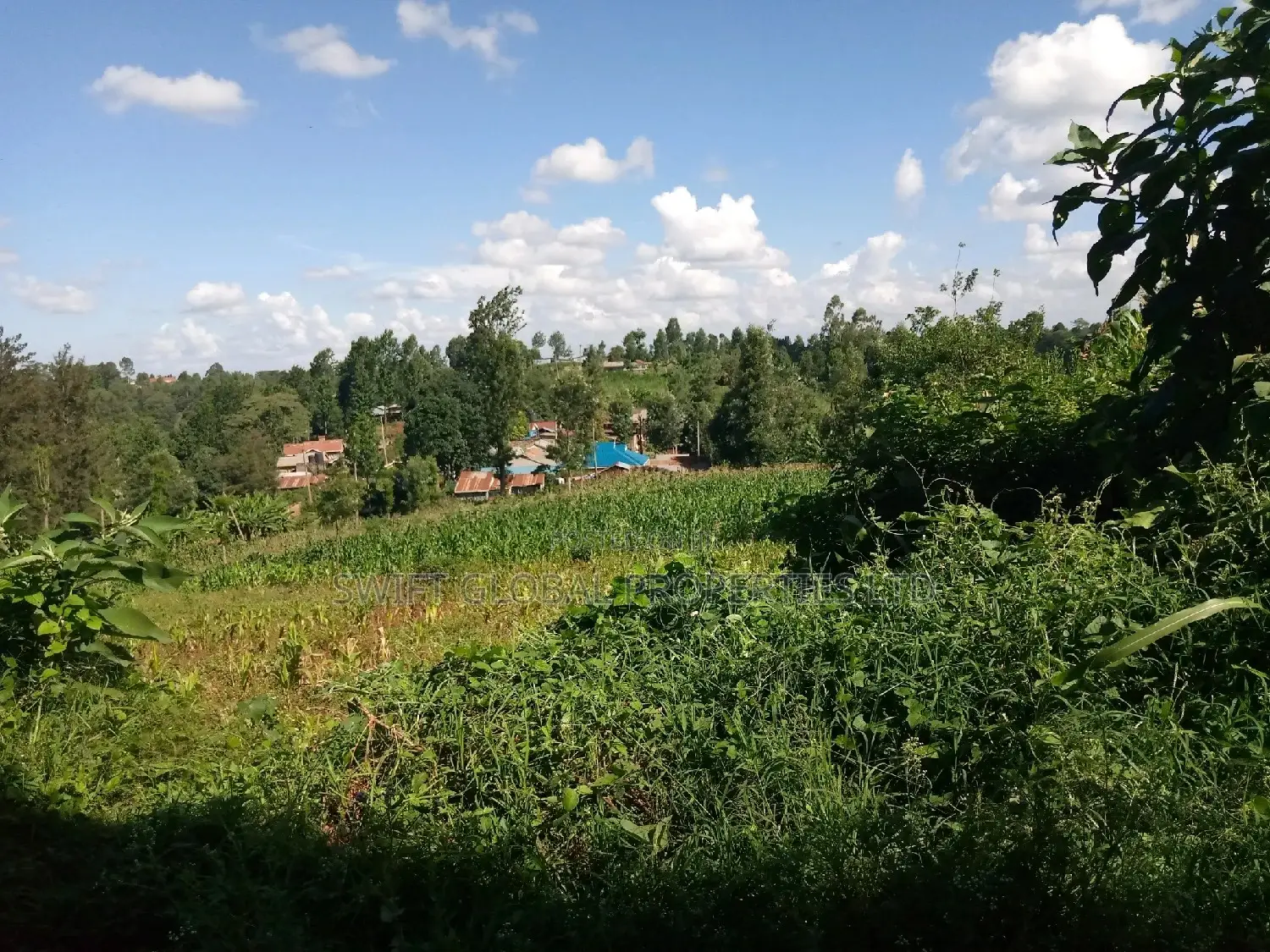 Prime 0.5 Acres for Sale Is in Karura Kanyungu- Kiambu