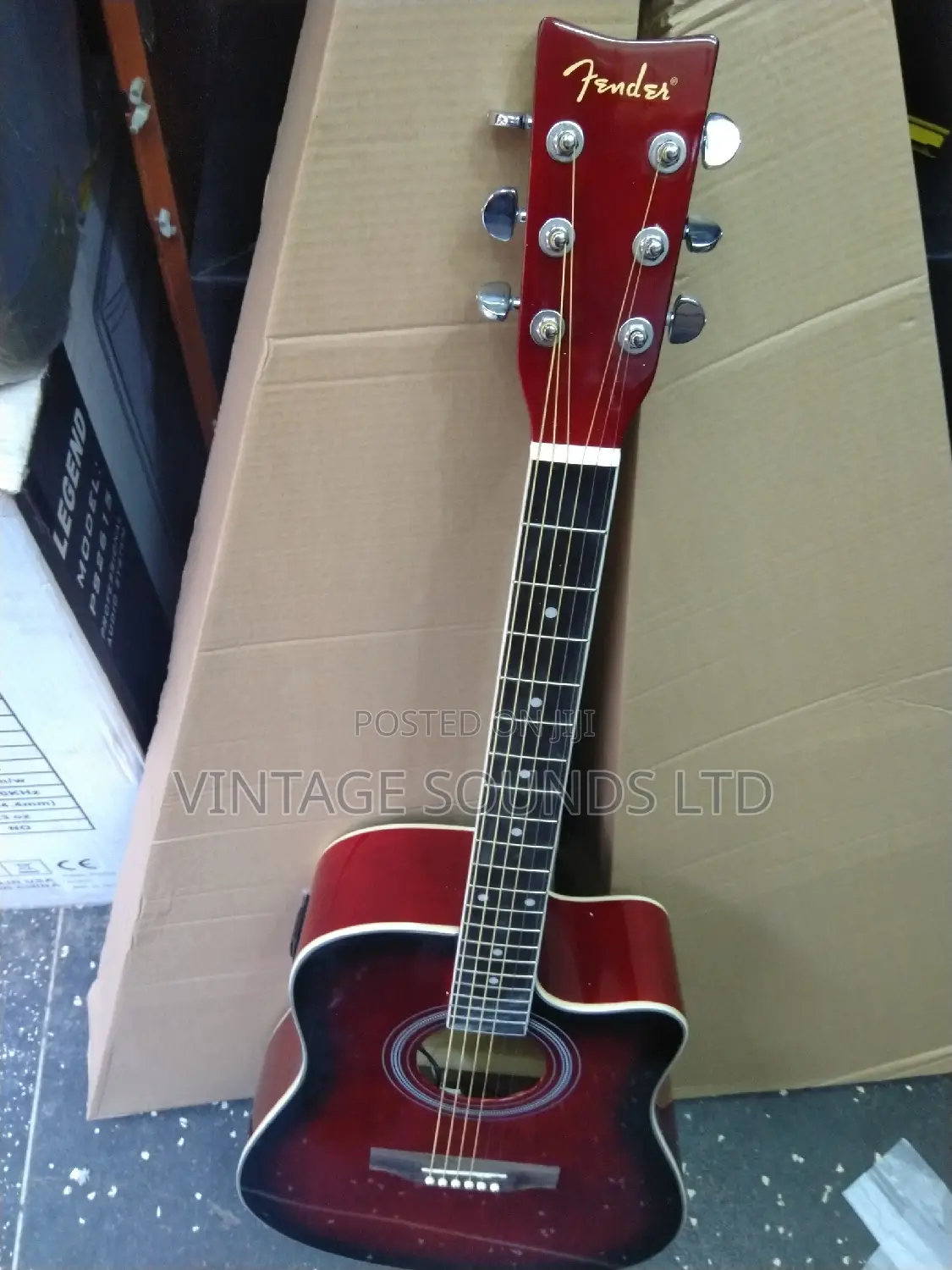 Fender Semi Electric Guitar